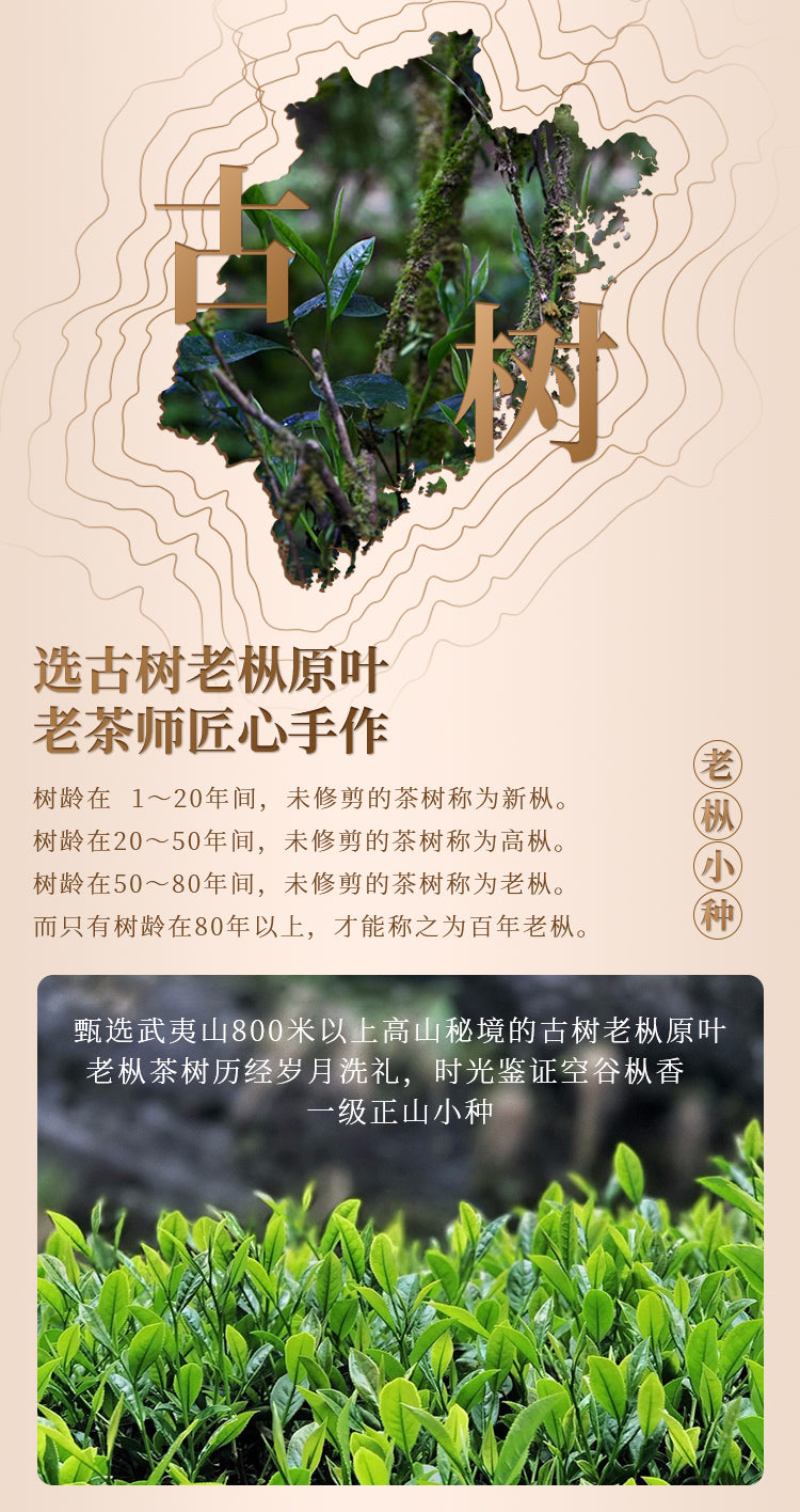 200g  The Natural    Black Tea 200g(5g×40pcs) From Wuyi Mountain Black Tea Rich Flower Aroma